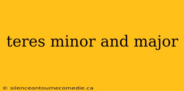 teres minor and major