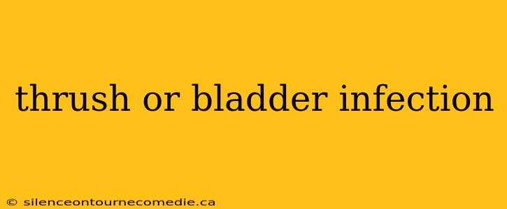 thrush or bladder infection