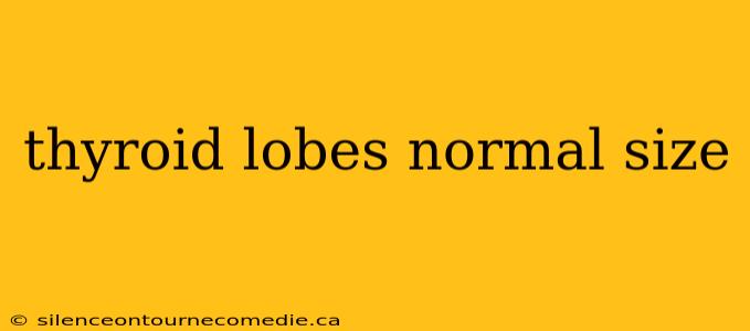 thyroid lobes normal size