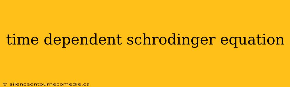 time dependent schrodinger equation