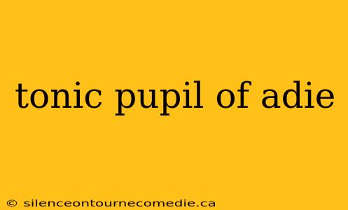 tonic pupil of adie