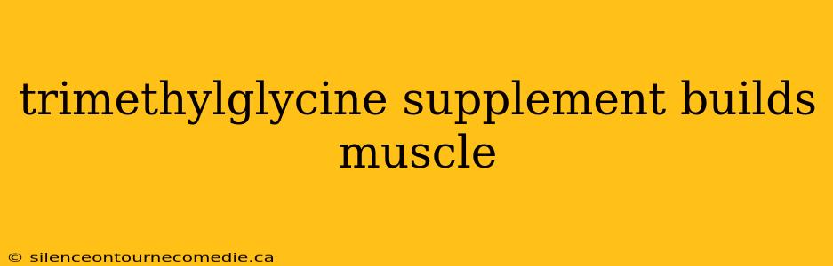 trimethylglycine supplement builds muscle