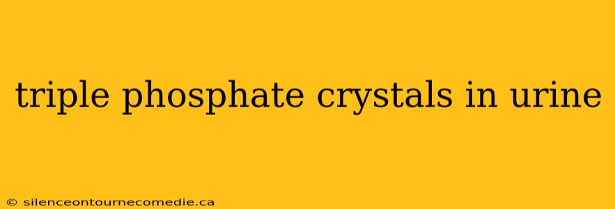 triple phosphate crystals in urine
