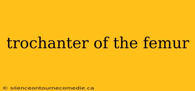 trochanter of the femur