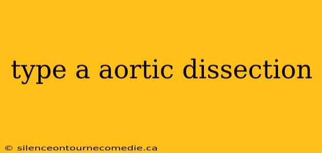 type a aortic dissection