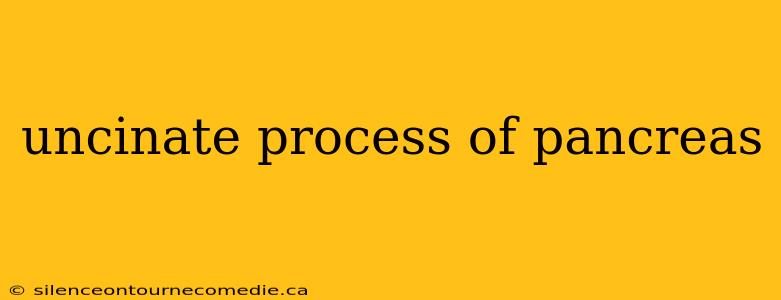 uncinate process of pancreas