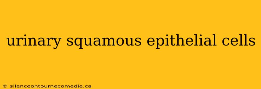 urinary squamous epithelial cells