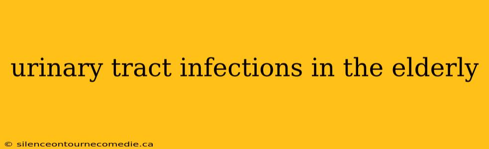 urinary tract infections in the elderly