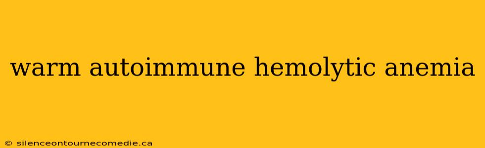 warm autoimmune hemolytic anemia