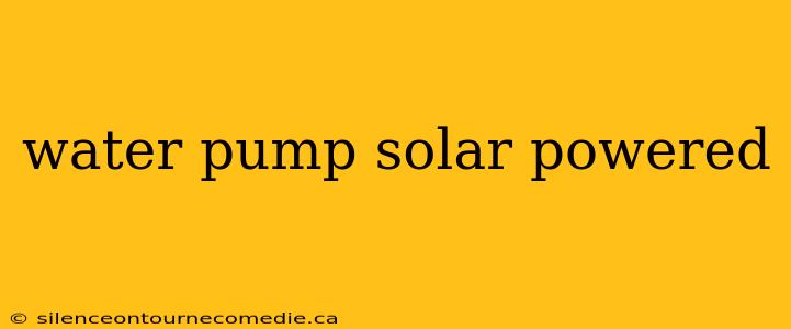 water pump solar powered
