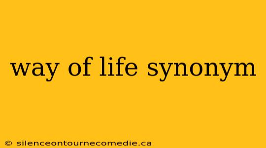 way of life synonym
