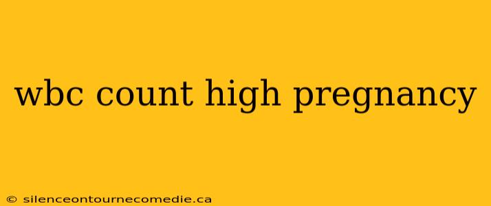 wbc count high pregnancy