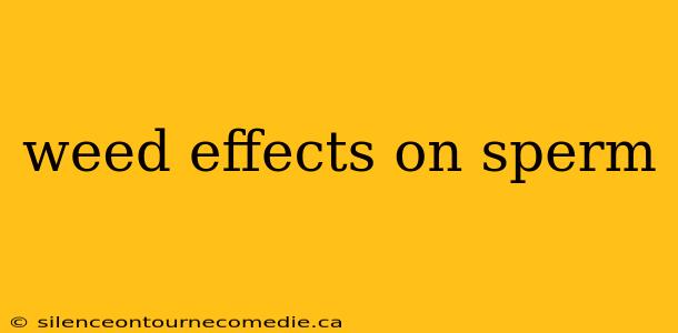 weed effects on sperm