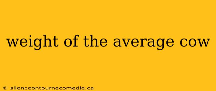 weight of the average cow