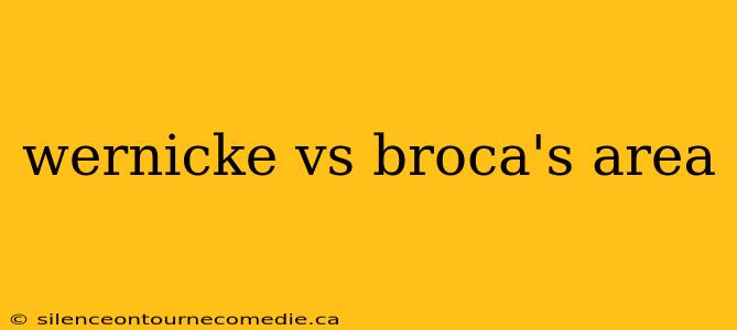wernicke vs broca's area