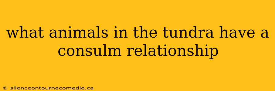 what animals in the tundra have a consulm relationship