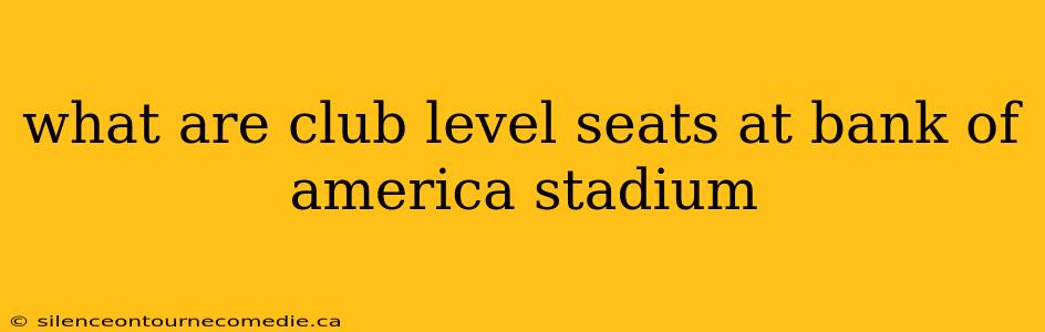 what are club level seats at bank of america stadium