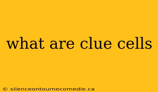what are clue cells