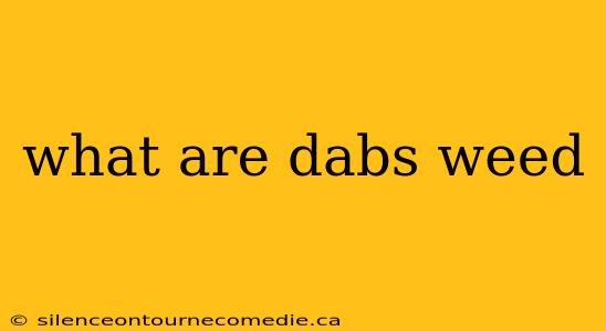 what are dabs weed
