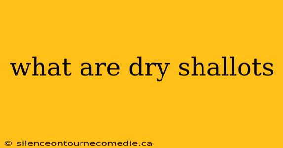what are dry shallots