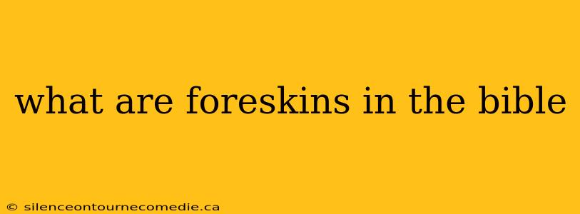 what are foreskins in the bible