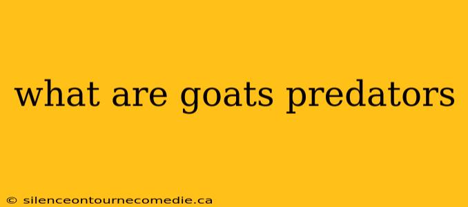 what are goats predators
