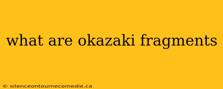 what are okazaki fragments