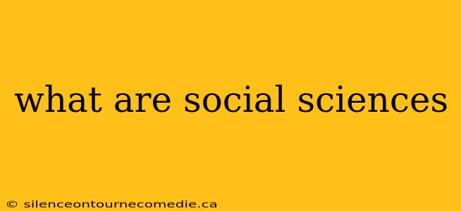 what are social sciences