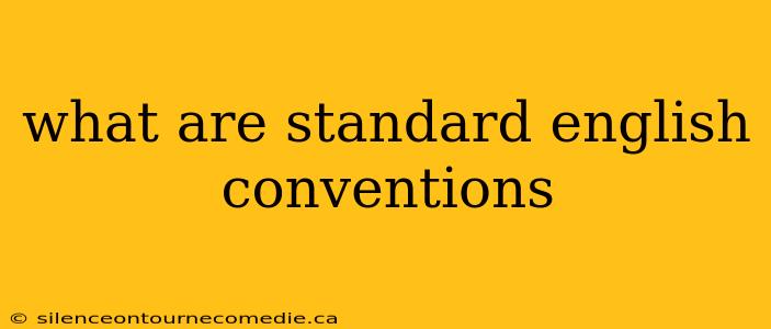 what are standard english conventions