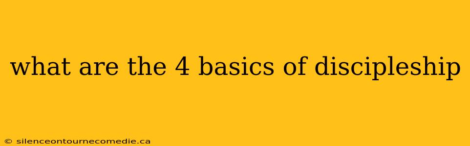 what are the 4 basics of discipleship
