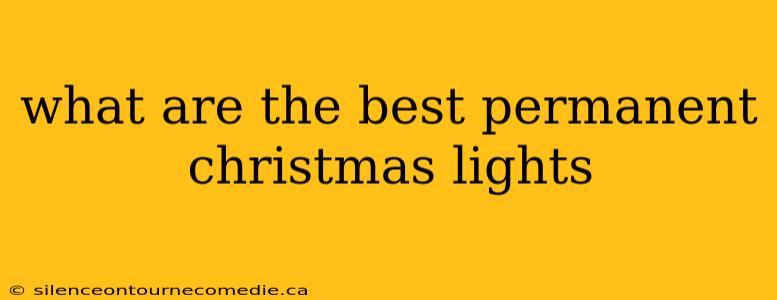 what are the best permanent christmas lights