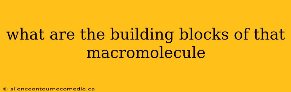 what are the building blocks of that macromolecule