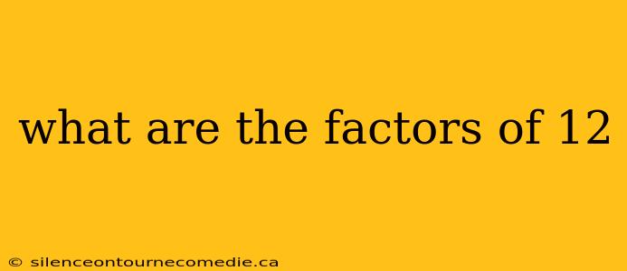 what are the factors of 12