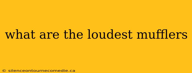 what are the loudest mufflers