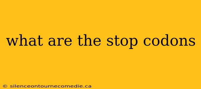 what are the stop codons