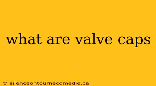 what are valve caps