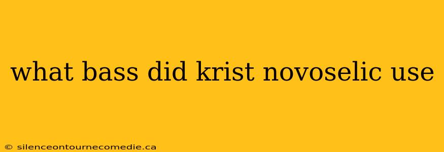 what bass did krist novoselic use