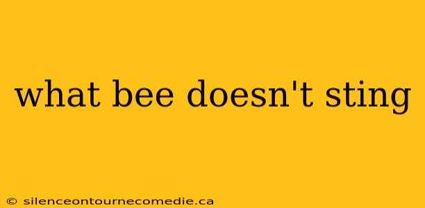what bee doesn't sting