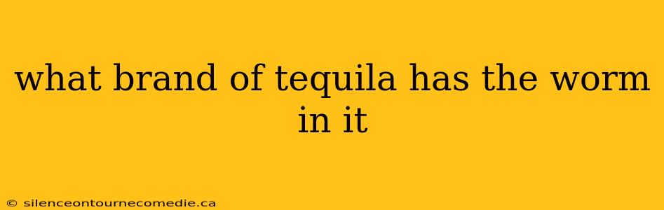 what brand of tequila has the worm in it