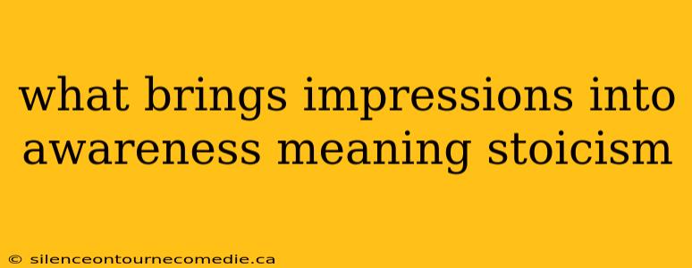 what brings impressions into awareness meaning stoicism