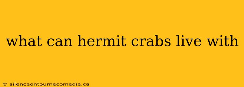 what can hermit crabs live with