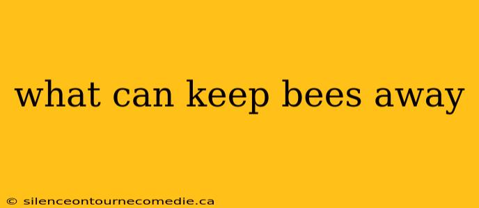 what can keep bees away