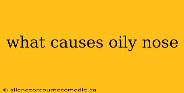 what causes oily nose