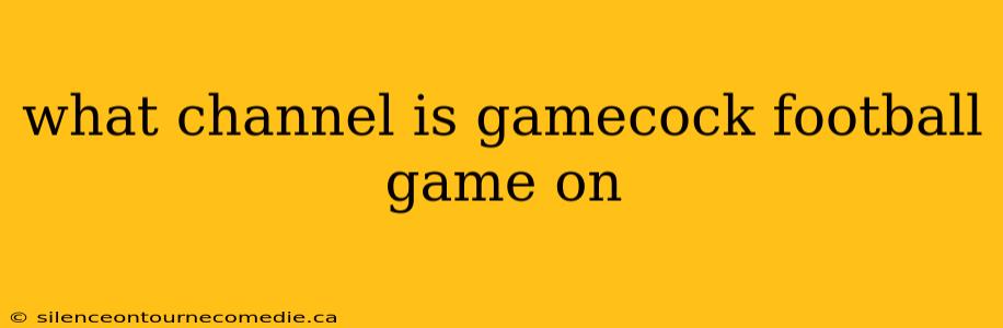 what channel is gamecock football game on