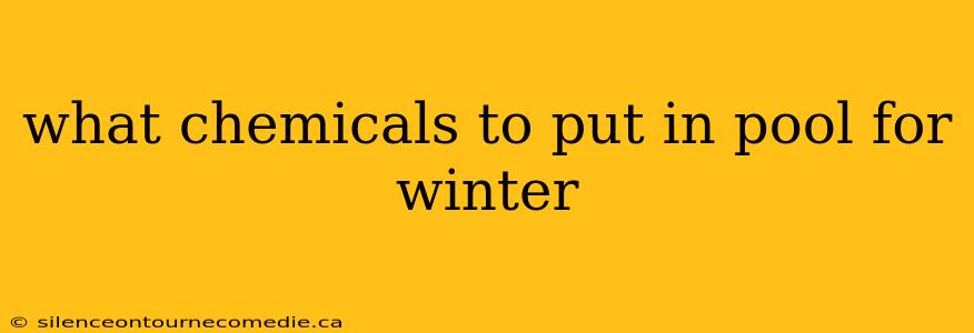 what chemicals to put in pool for winter