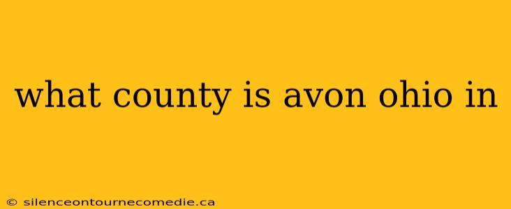 what county is avon ohio in