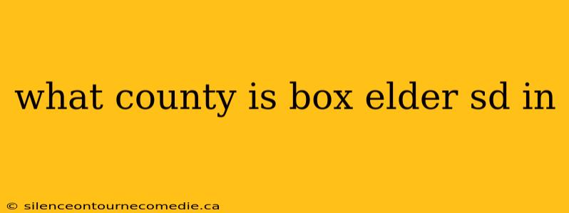 what county is box elder sd in
