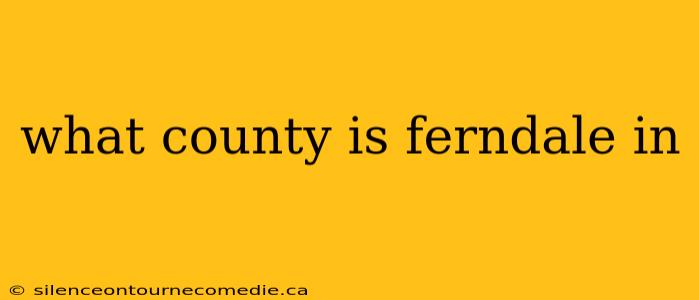 what county is ferndale in