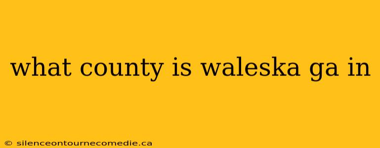 what county is waleska ga in