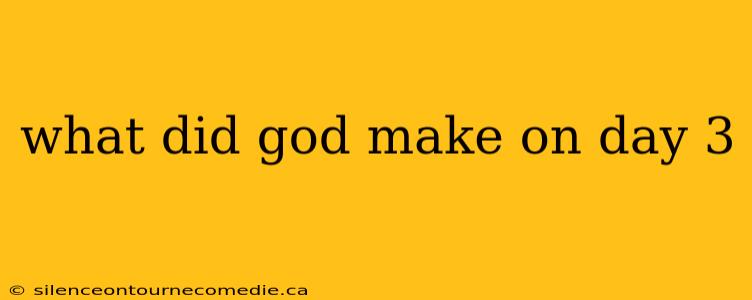 what did god make on day 3